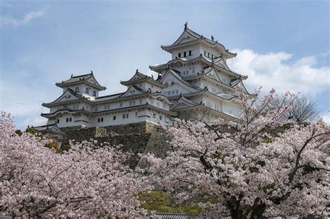 12 Original Castles in Japan that Survived Turbulent Times