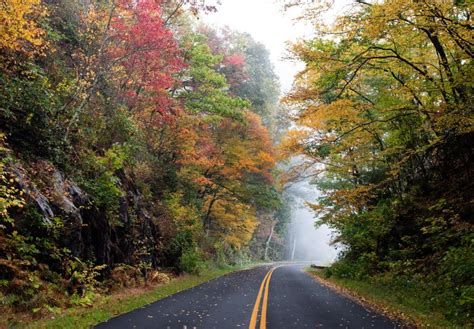 Asheville 2020 Fall Color Report & Forecast | Scenic Views | Asheville ...