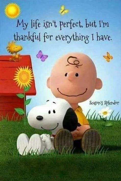 Thanksgiving Spirit | Charlie brown quotes, Snoopy quotes, Snoopy wallpaper