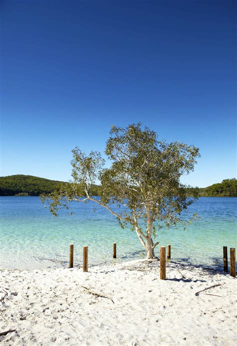 Fraser Island travel | Queensland, Australia - Lonely Planet