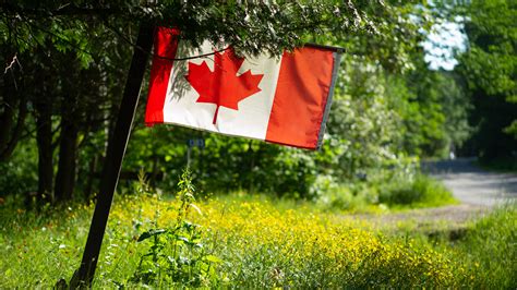 Did the ‘Freedom Convoy’ Change the Meaning of Canada’s Flag? - The New ...