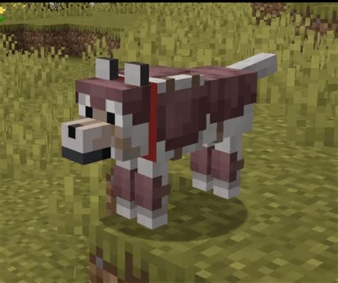 Petition to make the dog armour dyeable : r/Minecraft