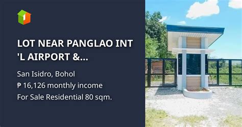 LOT NEAR PANGLAO INT 'L AIRPORT & WHITESAND BEACHES IN DAUIS BOHOL ...