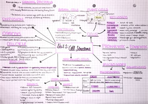 Biology Cell Structure Mind Map | Biology revision, Gcse biology ...