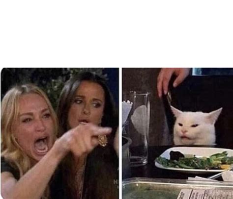 women yelling at confused cat meme template : r/dankmemesTemplates