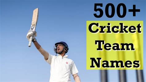 Cricket Team Names: 500+ Names Ideas For Your Cricket Group