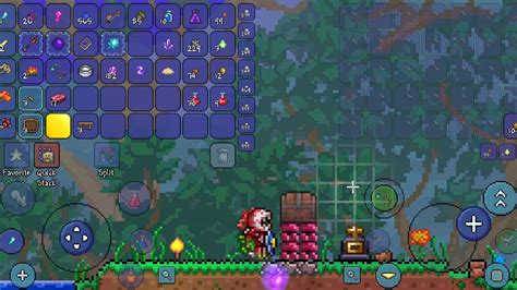 The Item Frame Duplication Glitch | Terraria Mobile - YouTube