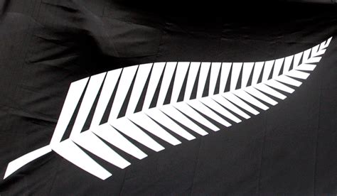 Silver Fern compared to terror group flag | Stuff.co.nz