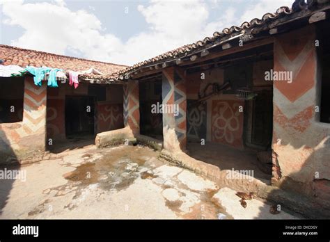 Sohrai paintings on mud wall houses painted by Kurmi caste artists ...