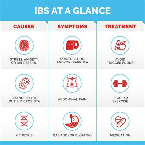 What You Need To Know About Irritable Bowel Syndrome (IBS)