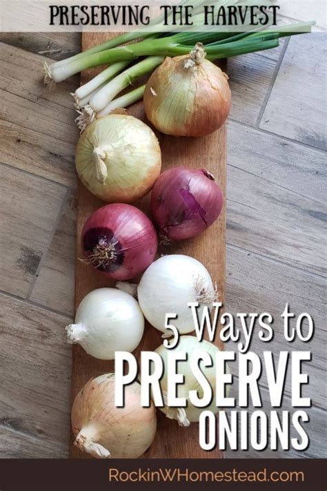 5 ways to preserve onions rockin w homestead – Artofit