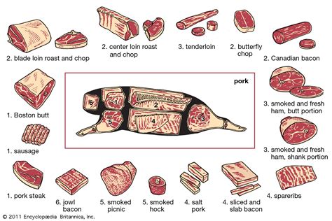 Pork Meat Diagram