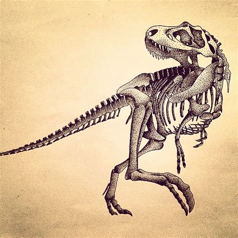 T Rex Skull Drawing at GetDrawings | Free download