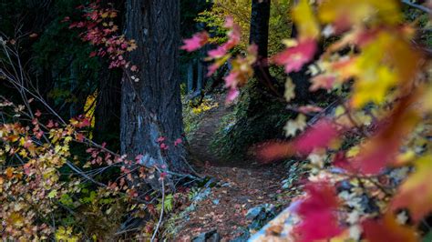 Tunnel Creek — Washington Trails Association