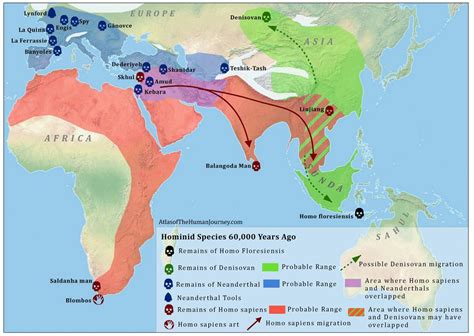 Hominid species map, 60,000 years ago. Click on link for wonderful ...