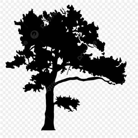 Pine Tree Silhouette Png, Vector, PSD, and Clipart With Transparent ...