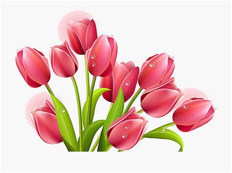 Free Tulip Bouquet Cliparts, Download Free Tulip Bouquet Cliparts png ...