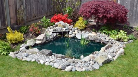 Affordable DIY Backyard Pond Ideas - The Dollar Stretcher