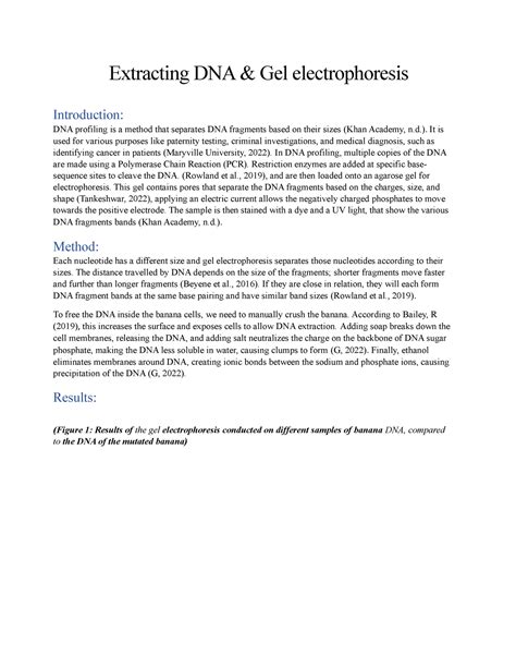 DNA profiling Lab Report - Extracting DNA & Gel electrophoresis ...