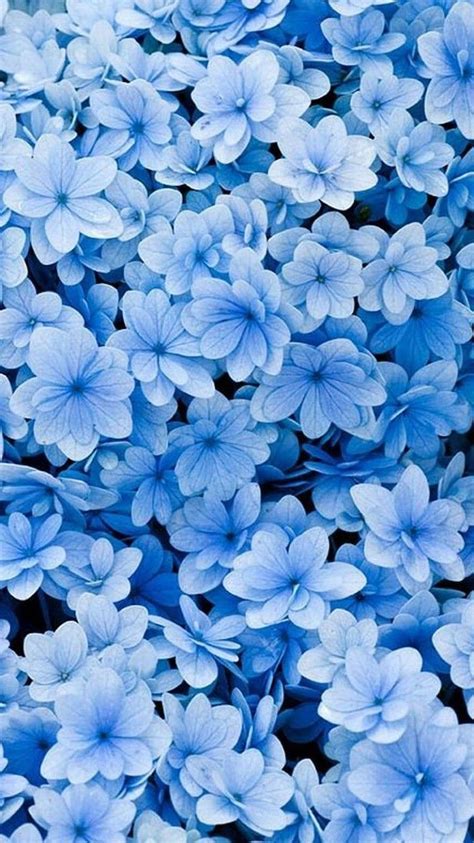 Blue Flowers Phone Spring Background Phone Background In 2020. Spring ...