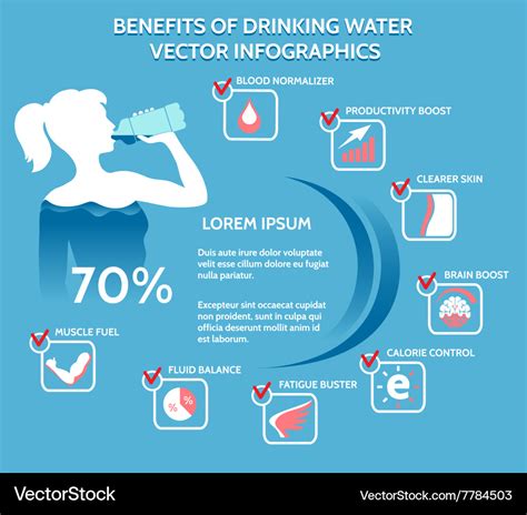 Benefits of drinking water infographics Royalty Free Vector