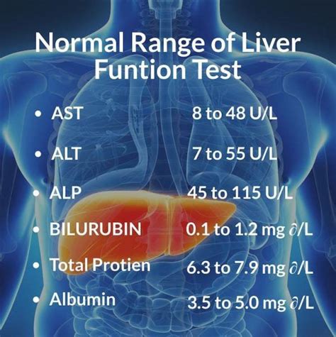 The liver function test is done to rule out the overall health ...