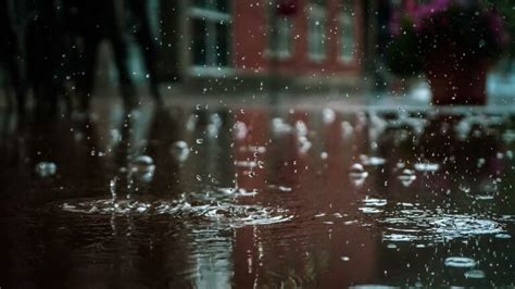 80+ Best songs about rain - Chosic