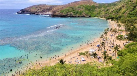 Snorkeling in Hanauma Bay - The Wanderful Moments