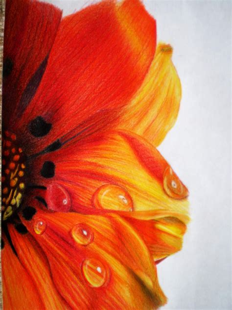 √ Realistic Flowers Drawing