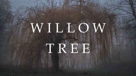 Rival x Cadmium - Willow Tree (feat. Rosendale) (Lyrics) - YouTube