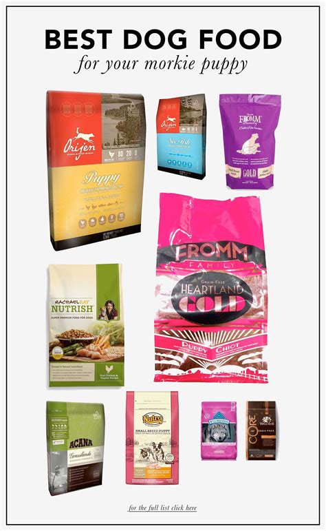 Top 10 Best dog food brands for Morkie dogs! | Best dog food brands ...