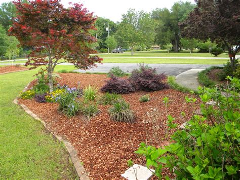 Walk2Write in Florida: A Happy Ending for Pecan Shells in My Garden