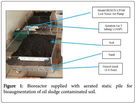 Journal of Bioremediation & Biodegradation - Effectiveness of Single ...