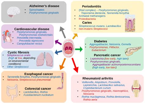 Types Of Oral Diseases