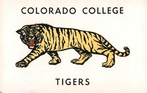 Colorado College Tigers Colorado Springs, CO Postcard