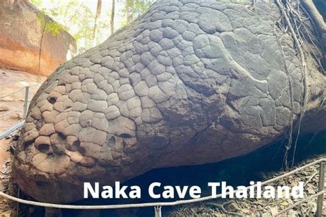 Exploring Naka Cave: An Adventure in Thailand | TripZtour