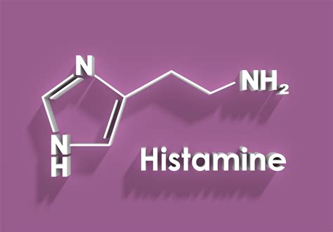 Histamine Intolerance: Symptoms, Diet & Treatment - Amy Burkhart, MD, RD