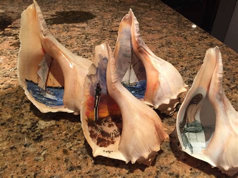 Painted conch shells, 2017 | Shell crafts diy, Seashell painting ...