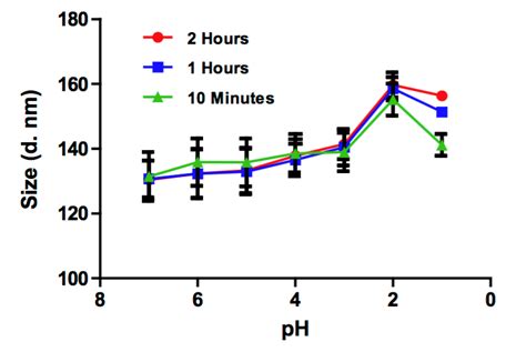 Liposome Stability Analysis - Creative Biostructure