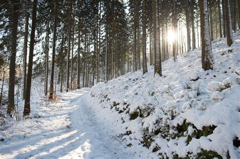 4 places to enjoy the snow in the Ardennes | Ardennes-étape