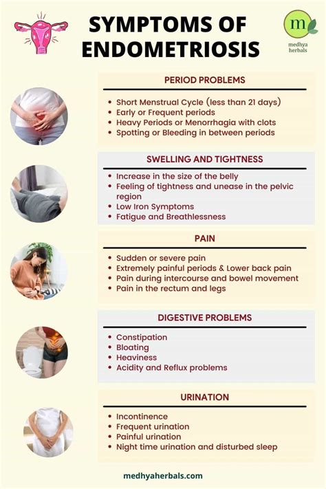 Endometriosis Diet: The Best Meal Plan for Pain Relief