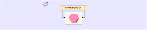 How to add a Drop Shadow to an Image with CSS? - Scaler Topics