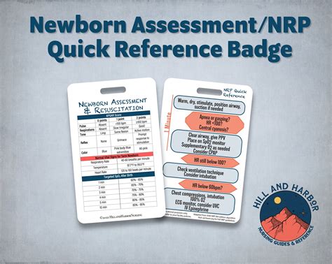 Newborn Assessment and Resuscitation NRP Nursing Paramedic Quick ...