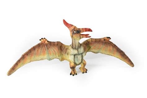 Pterodactyl, Dinosaur Toy, Large Realistic Model Rubber Replica, Desk ...