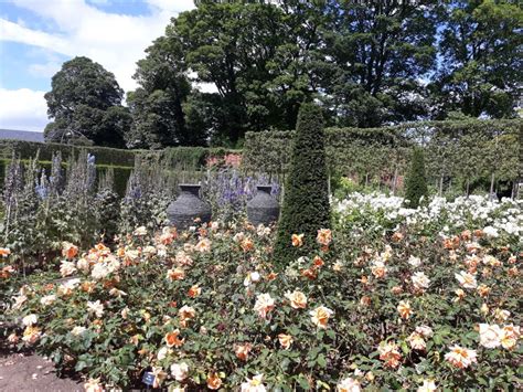 Alnwick Castle Gardens, Northumberland - The 3 Growbags