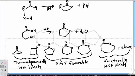 lactone reactions