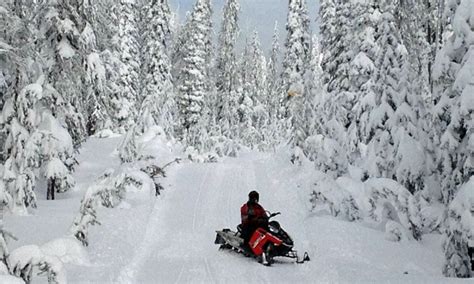 Yellowstone Snowmobiling: Snowmobile Rentals & Tours - AllTrips