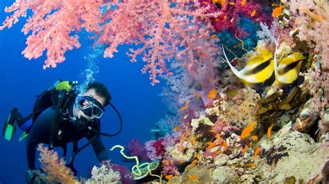 Diving in Hurghada - Hurghada Diving - Diving Hurghada