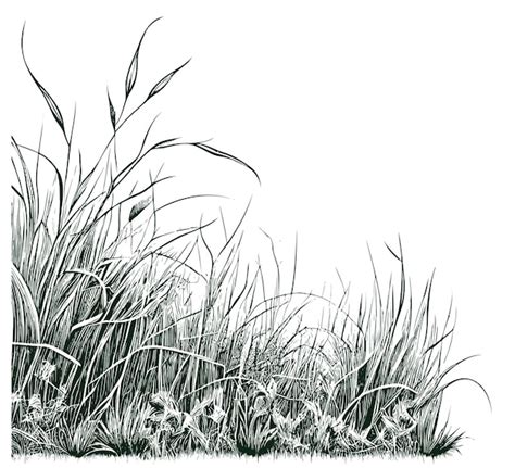 Grass Drawing Images - Free Download on Freepik