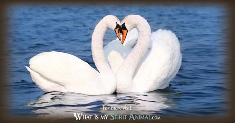 Swan Symbolism & Meaning | Swan Spirit, Totem, & Power Animal